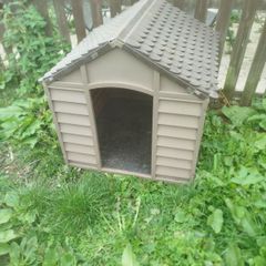 large dog kennel