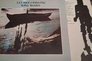 Tony Banks/ Genesis -  A Curious Feeling - 1979 vinyl LP