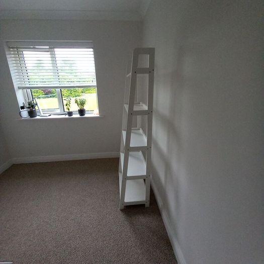 Ladder Shelf