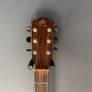 Avalon Silver DS-100 Acoustic Guitar Image 2