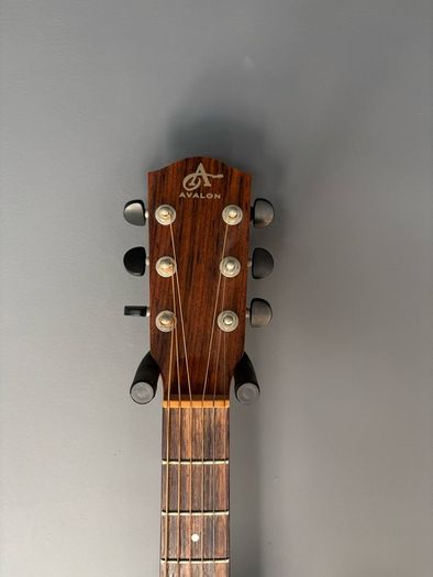 Avalon Silver DS-100 Acoustic Guitar