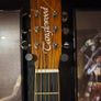 Tanglewood Reunion Electro-Acoustic Guitar (Pacific Walnut) Image 2