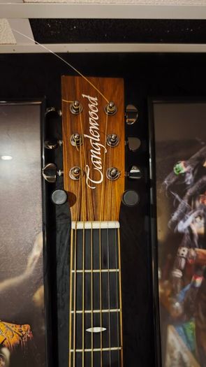 Tanglewood Reunion Electro-Acoustic Guitar (Pacific Walnut)