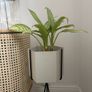 Ferm Living Planter Image 2