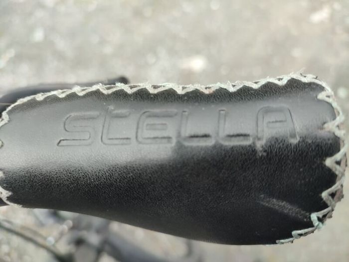 Shimano steps
