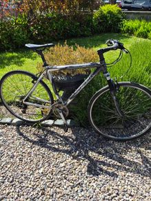 trek