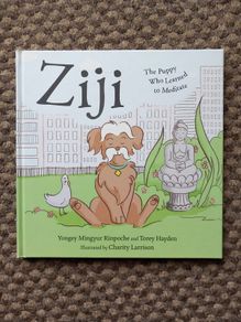 Ziji: The Puppy Who Learned to Meditate - Hardback