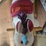 rocking horse Image 2