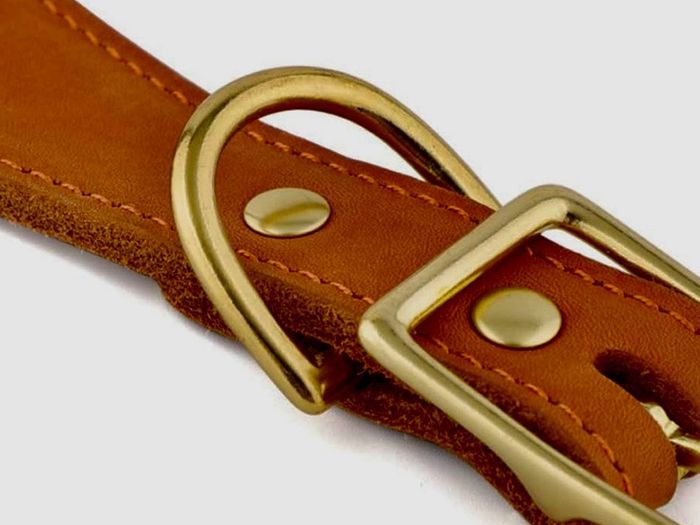 Premium Handmade Leather Dog Collar  Custom Personalised  Large Dogs