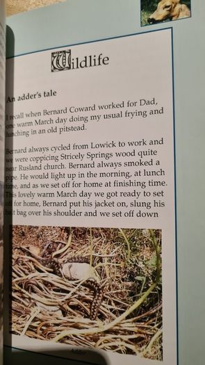 Coppice Merchant By Billy Hogarth. A Life In The Woodlands Of The Lake District. First Edition. Paperback In Good.