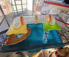 hamster cage