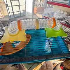 hamster cage