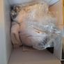 MySkincare Pro Hydration facial steamer Image 3
