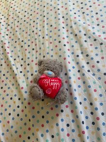 teddy bear