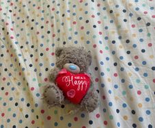 teddy bear