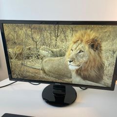 Monitor: 24" Full HD BenQ
