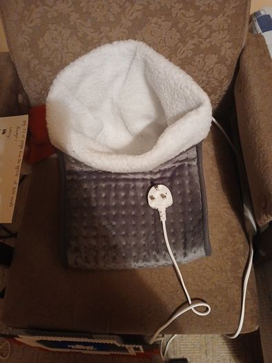 Electric foot warmer