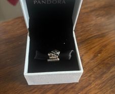 Pandora Graduation Bracelet Silver Charm