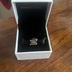Pandora Graduation Bracelet Silver Charm