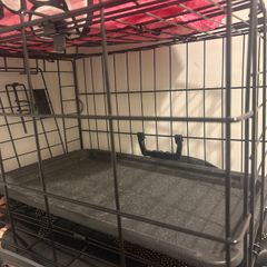 Pet carrier