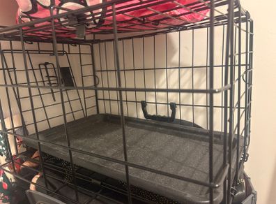 Pet carrier