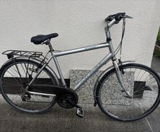 Raleigh Pioneer