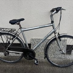 Raleigh Pioneer