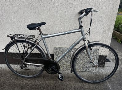 Raleigh Pioneer