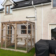 Catio for sale dromahair Leitrim