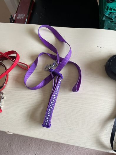 dog leads x3