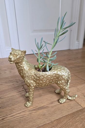 Plant pot