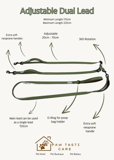 Dual Lead