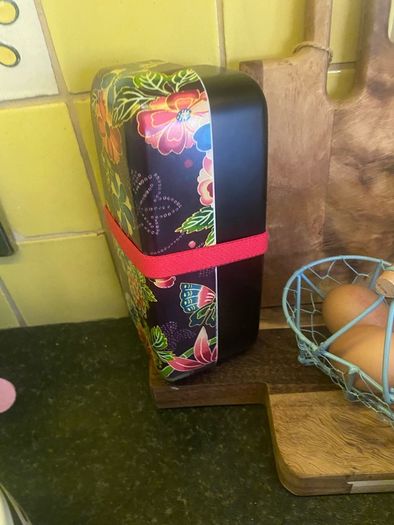 Bento box ( new)