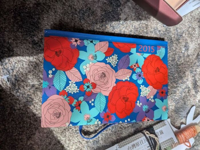 old diary never used