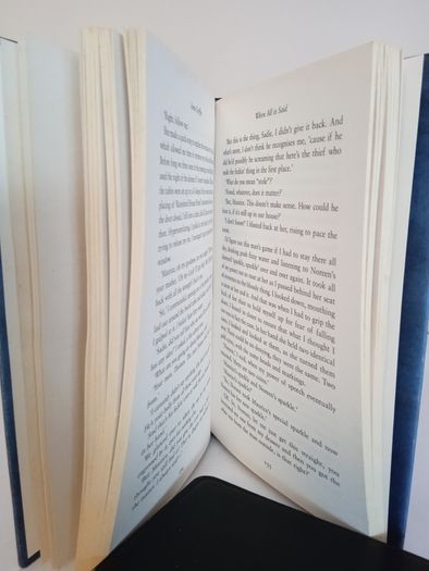 When All is Said by Anne Griffin (HQ881)