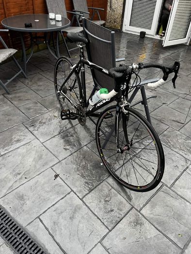 ridley triton