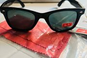 New Wayfarer Classic