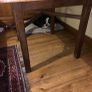 SOLID OAK TABLE Mid Century in VG condition with two adjustable tabletop sizes. Image 2