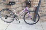 ladies bike