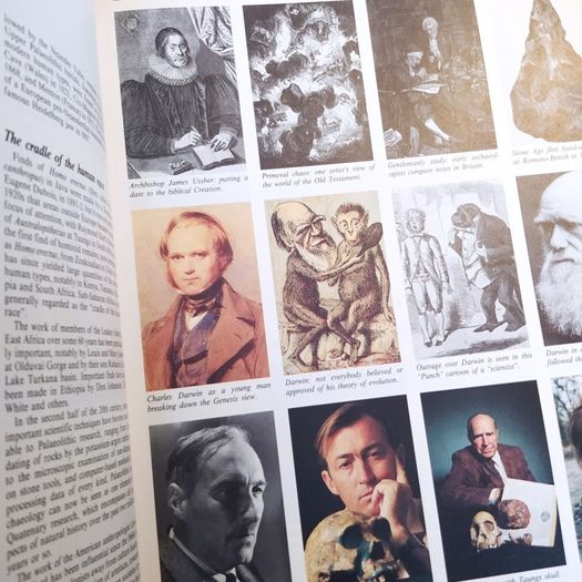 2 Longmans Chronicles/ The World & 20th Century