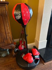 Punching bag and gloves