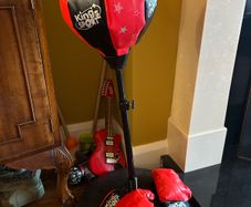 Punching bag and gloves