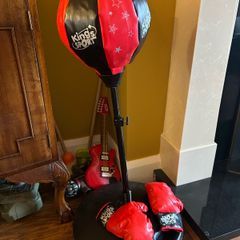 Punching bag and gloves