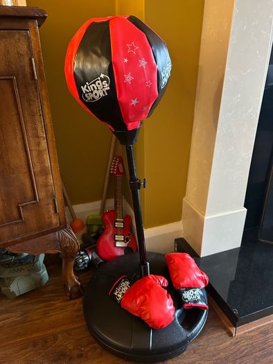 Punching bag and gloves