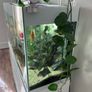 Aquael Opti Glass Aquarium  300L with Cabinet Fluval Filter & Plant Light Image 6