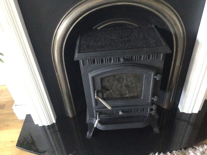 Multi fuel stove