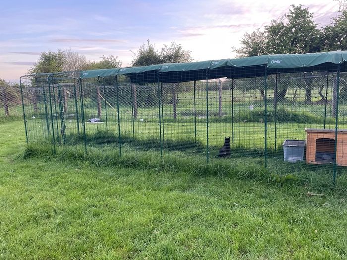 Omlet catio - cat enclosure