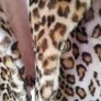 Tuzzi faux fur short cropped jacket Image 4
