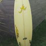 Surfboard & Padded surfboard bag Image 7