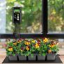 Seedling Heat Mat and Thermostat Set, Waterproof Greenhouse Heating Pad 10" x 20.75" Germination Warming Mat for Terrarium Reptile Amphibian (FREE POSTAGE) Image 3